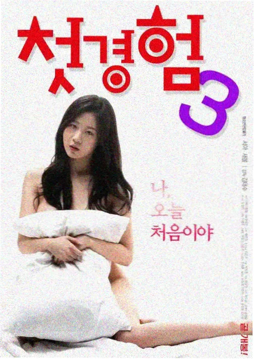 夏夜回声剧集海报